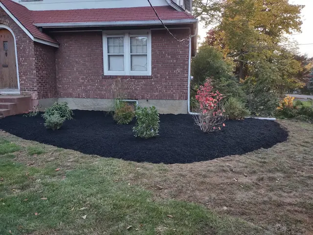 O'Sullivan Tree Care and Recycling — customer photo 7