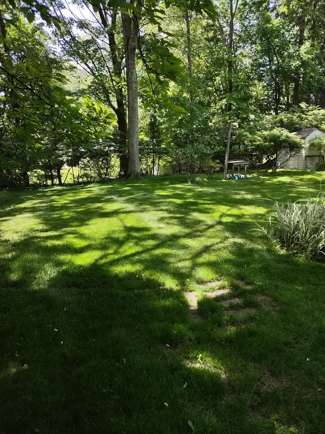 O'Sullivan Tree Care and Recycling — customer photo 3