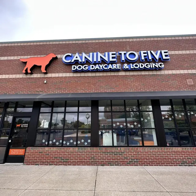 Canine To Five — photo from the business 1