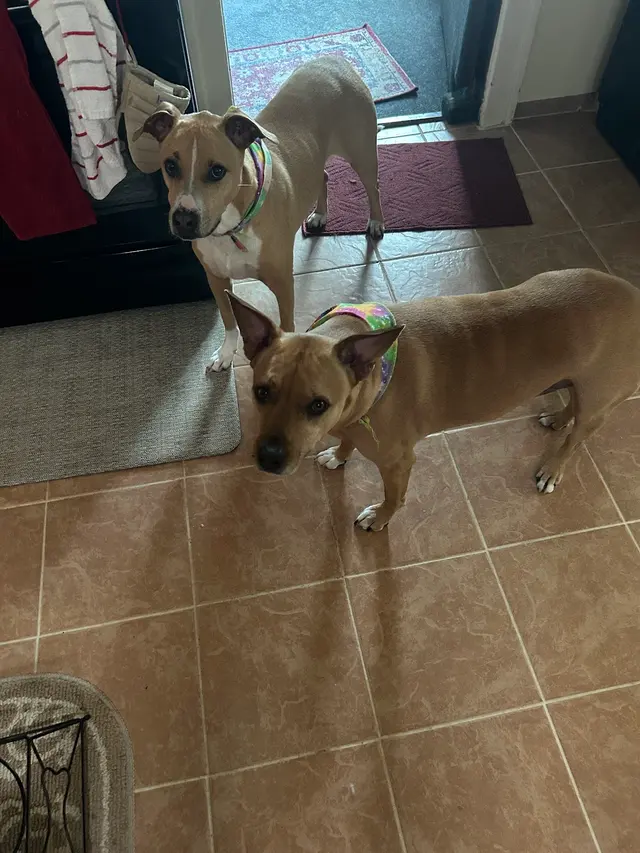 Customer photo from bonnie's review