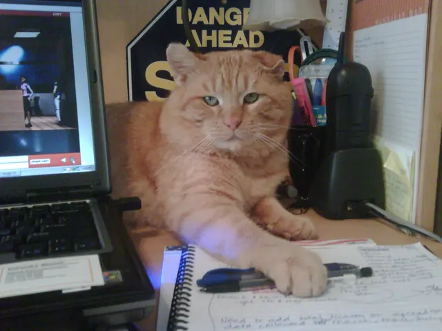 Gentle Pet Protectors — photo from the business 12