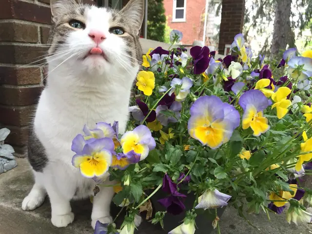 Gentle Pet Protectors — photo from the business 2