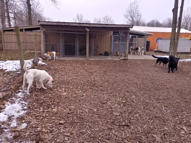 Currey's Family Pet Care — customer photo 1