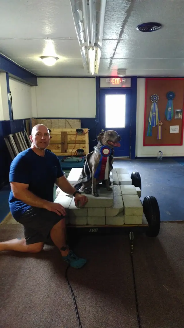 Currey's Family Pet Care — customer photo 10