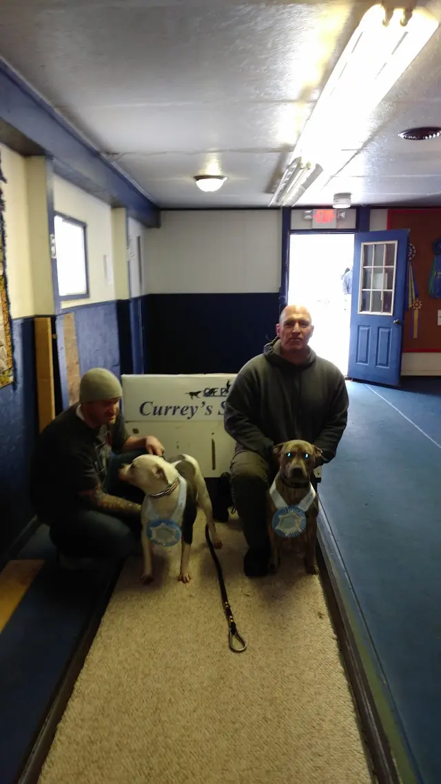 Currey's Family Pet Care — customer photo 3