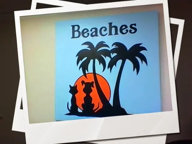Beaches Pet Resort & Training Center — photo from the business 1
