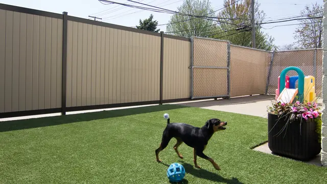 Beaches Pet Resort & Training Center — photo from the business 6