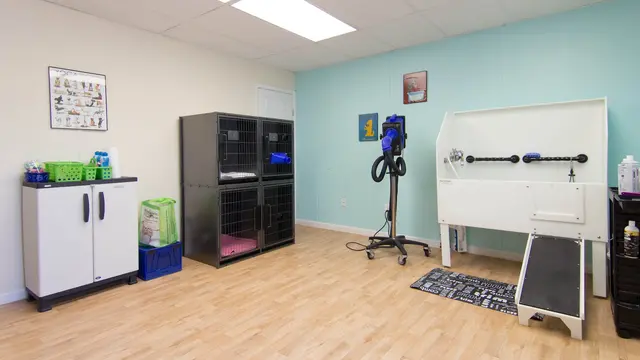 Beaches Pet Resort & Training Center — photo from the business 10