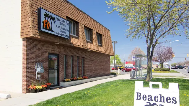 Beaches Pet Resort & Training Center — photo from the business 7