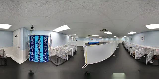 Beaches Pet Resort & Training Center — photo from the business 3