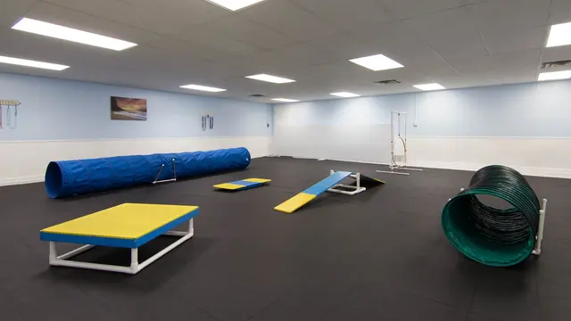 Beaches Pet Resort & Training Center — photo from the business 5