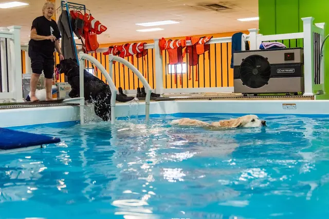 Pet Suite Retreat-Troy — photo from the business 2