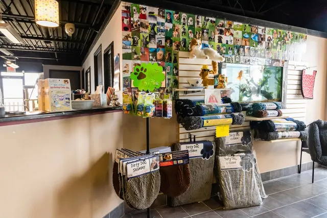Pet Suite Retreat-Troy — photo from the business 7