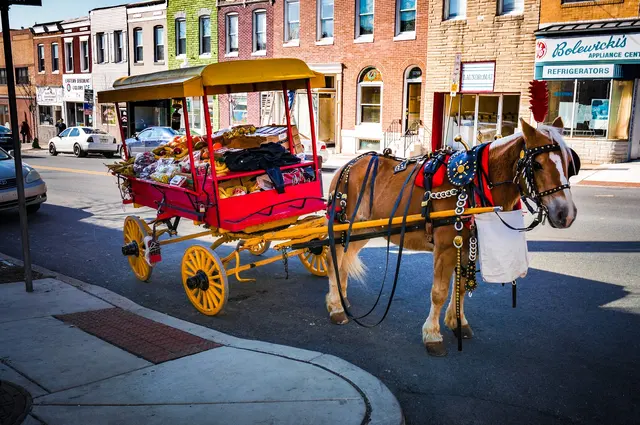 Heise & Heise, LLP — photo from the business 12