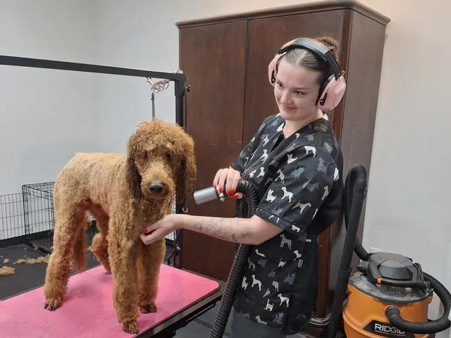 TAILored Pet Services LLC and Four-Legged Fun Zone — photo from the business 7