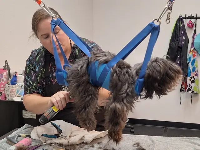 TAILored Pet Services LLC and Four-Legged Fun Zone — photo from the business 5