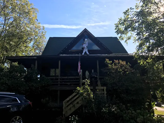 Nate's Painting — photo from the business 3