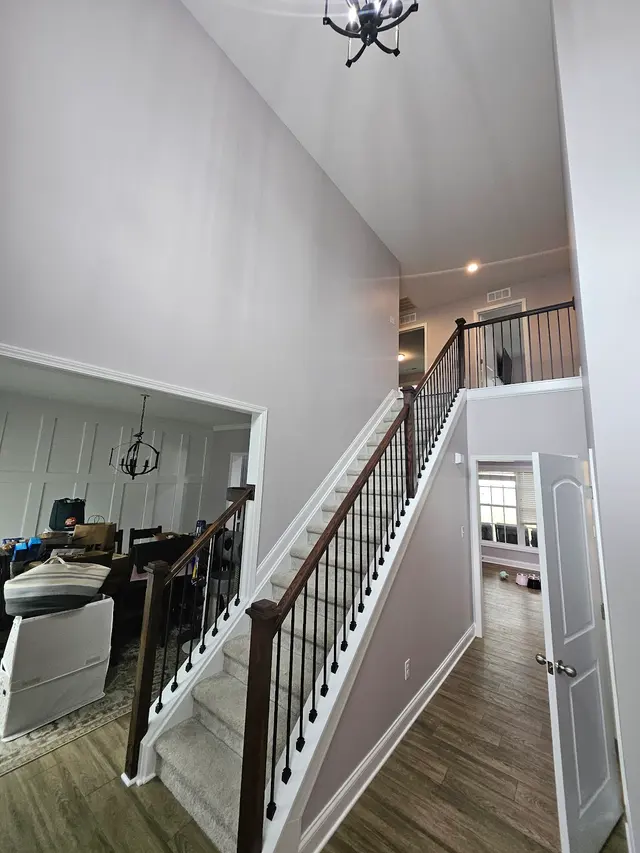 Abell Painting — photo from the business 3