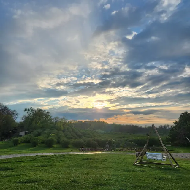Koru Berry Farm — photo from the business 6