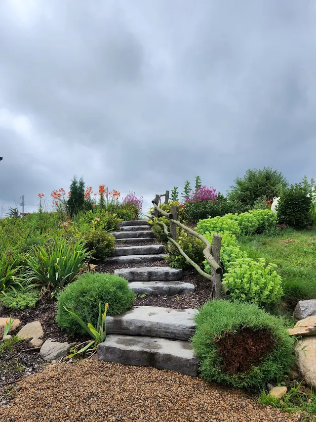Koru Berry Farm — photo from the business 4