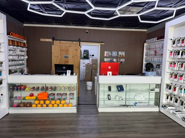 The Phone Plug Cell Phones & Tablets & Computers & MacBook — photo from the business 2