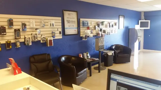 Florida Repair Ninja-Mobile Repair Service — photo from the business 4