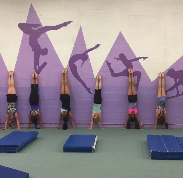 Baldy View Gymnastic Center — customer photo 6