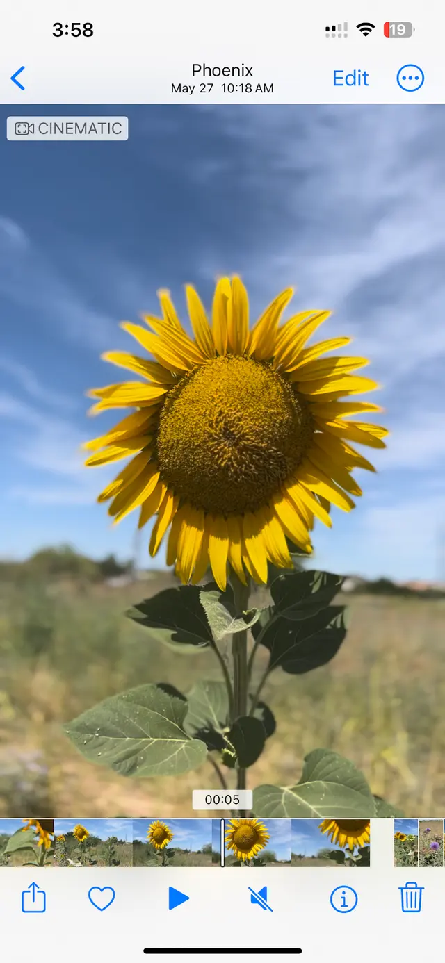 Spaces of Opportunity/Farmers’ Market — photo from the business 6