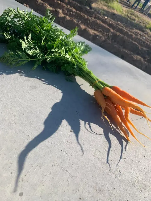 Spaces of Opportunity/Farmers’ Market — photo from the business 9