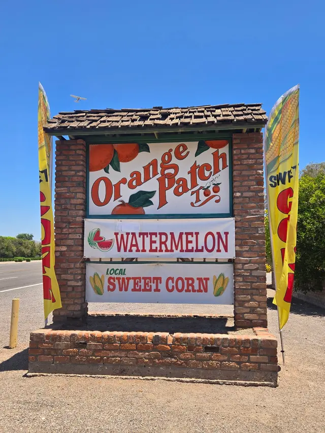 Orange Patch Too — customer photo 3