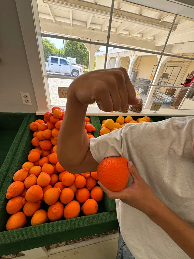 Orange Patch Too — customer photo 6