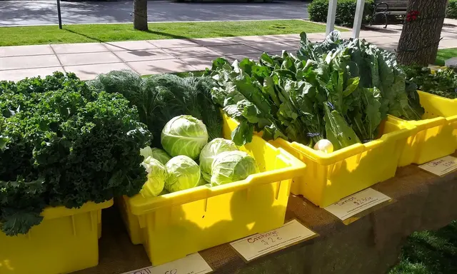Old Town Scottsdale Farmers Market - open October through May — photo from the business 1