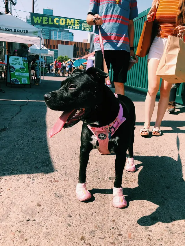 Downtown Phoenix Farmers Market — photo from the business 6