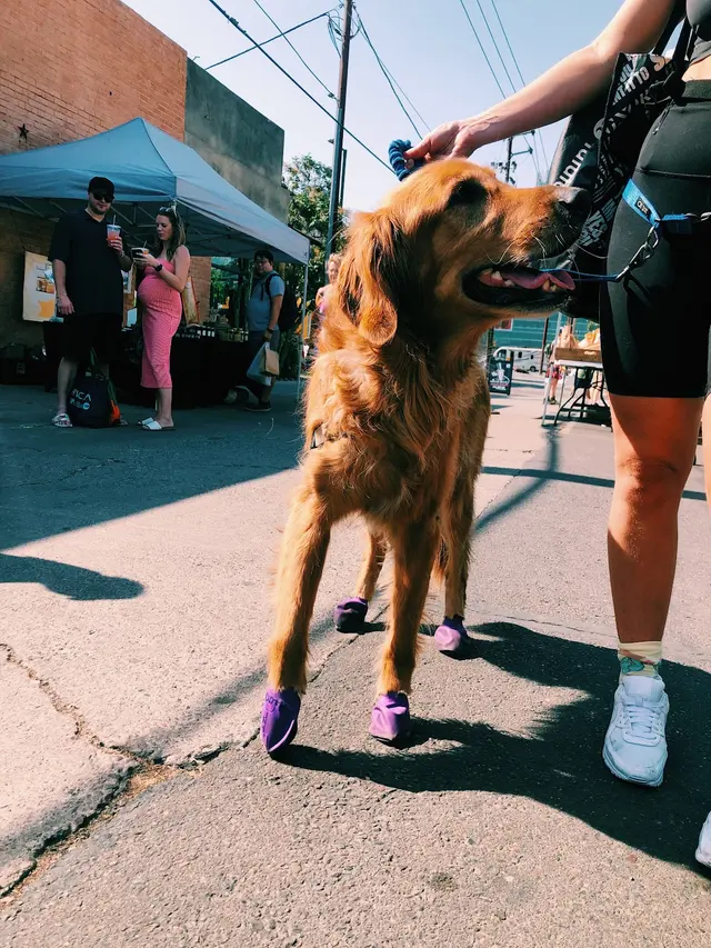 Downtown Phoenix Farmers Market — photo from the business 5