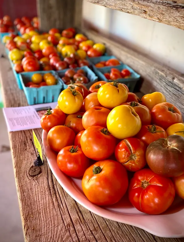 Greenhouse Gardens — customer photo 4