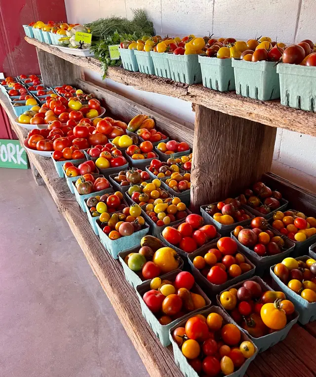 Greenhouse Gardens — customer photo 12