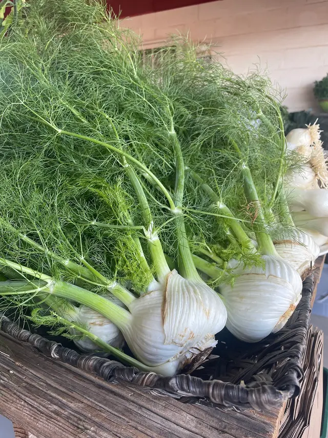 Greenhouse Gardens — photo from the business 11
