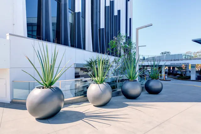 Cortica Torrance — photo from the business 12