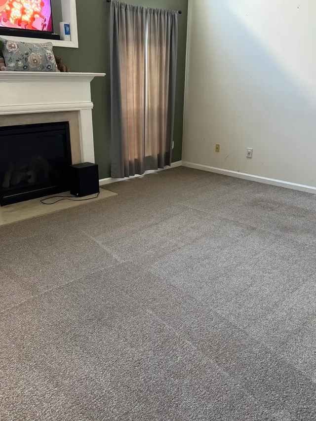 Revive Carpet Cleaning and Repair — customer photo 1