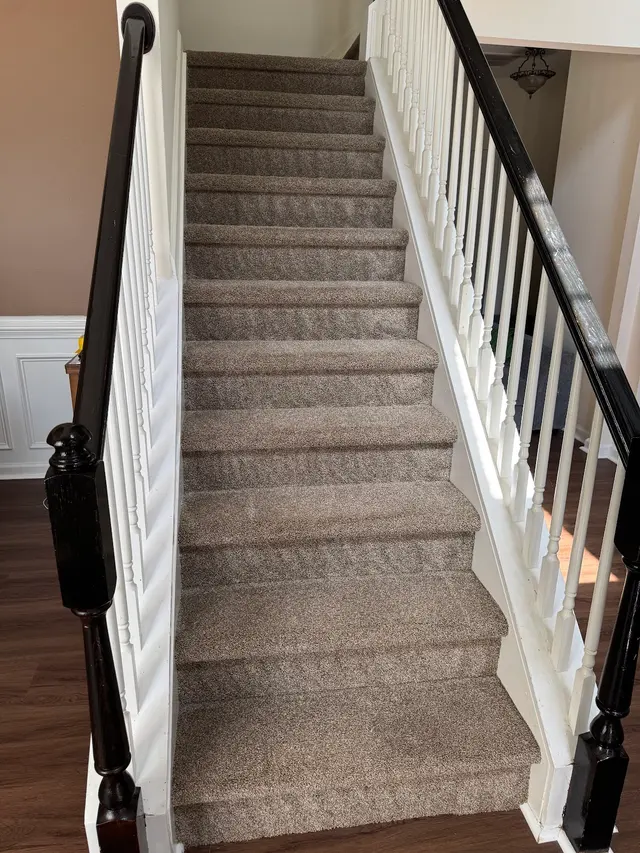Revive Carpet Cleaning and Repair — customer photo 2