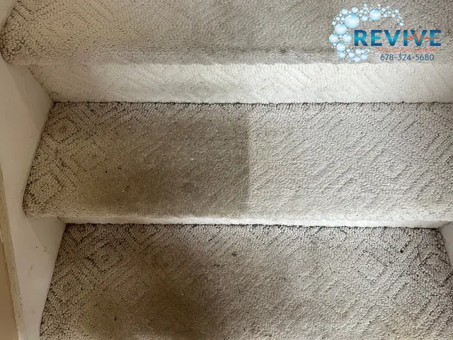 Revive Carpet Cleaning and Repair — photo from the business 3