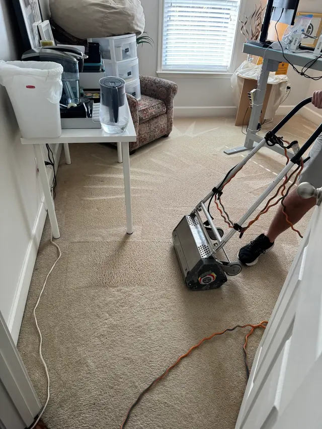 Revive Carpet Cleaning and Repair — customer photo 9