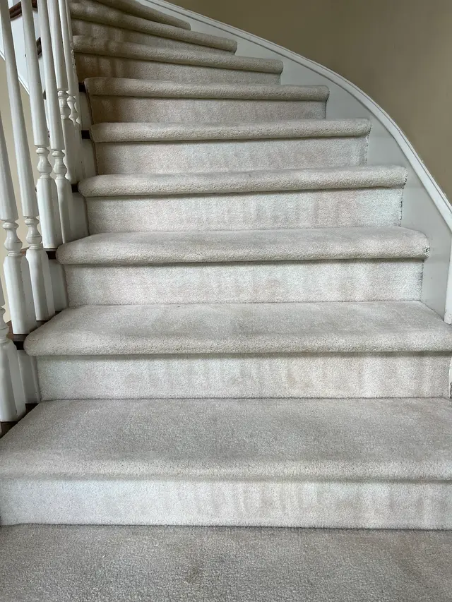 Revive Carpet Cleaning and Repair — customer photo 10