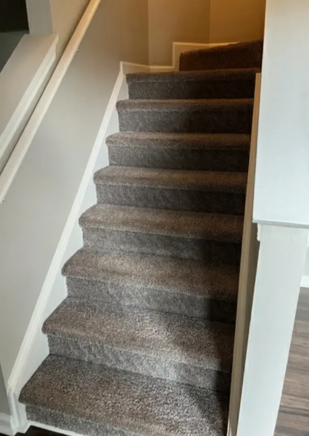 Revive Carpet Cleaning and Repair — customer photo 12