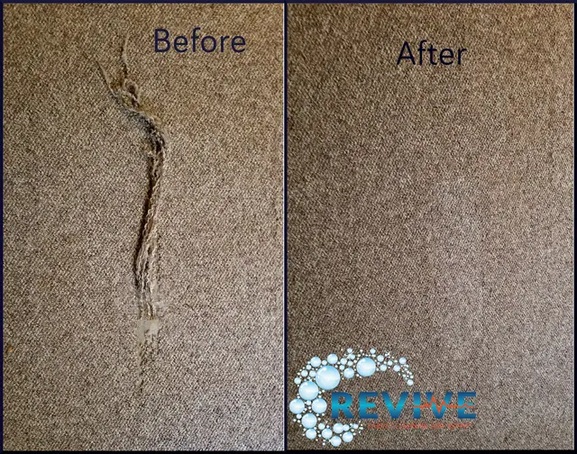 Revive Carpet Cleaning and Repair — photo from the business 11