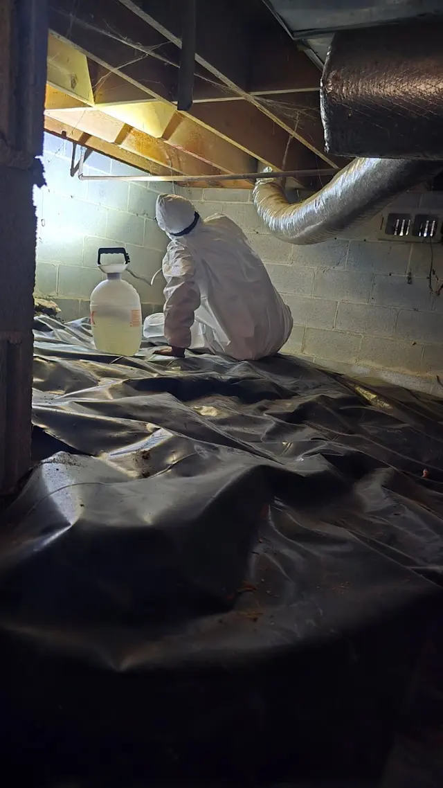 Fresh Cleaning Solutions — photo from the business 9