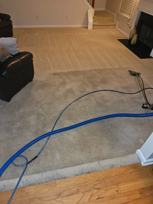 Fresh Cleaning Solutions — photo from the business 2