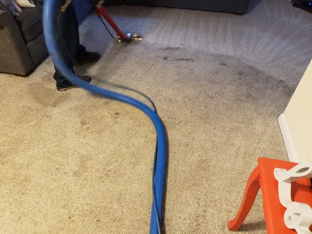 Veterans Lawn and Carpet Care — photo from the business 9