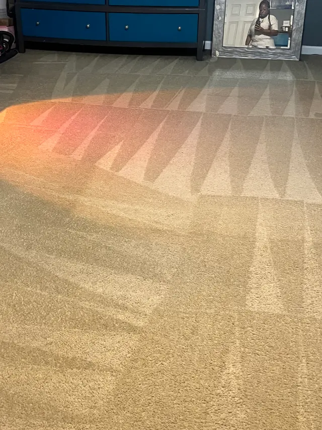 BB's Carpet Cleaners — customer photo 2