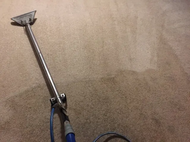 BB's Carpet Cleaners — photo from the business 6